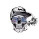 The Skull Story