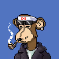 Monkey_VSS