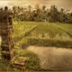 The Island of the Gods