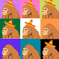 monkey collect22