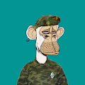 BoredApe Gaurd