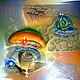 visual persepectives with a twist