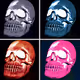 8 Color skulls collection