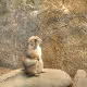 Travels In Southeast Asia