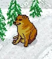 cheemable.pfp