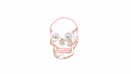 Skull Fashion Art