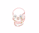 Skull Fashion Art