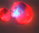 Fuzzy balls