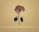 INFLORESCENCE "METAFLOWER"