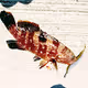 NFT Fish japan