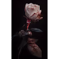 Roses of Nightelion