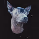 NFT Anubi Canine Pack