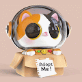 Adoptacat #0000