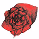 Roses by Maestrale