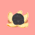 Cat from fruit...gif