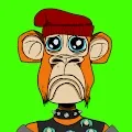 monkey fases