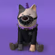 yougi