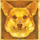 Crypto CorgiMan