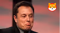 Elon Musk nft shiba