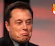 Elon Musk nft shiba