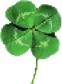 Vopa's Lucky Four Leaf Clover