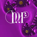 META FRACTALS