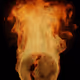 Fuego Austral 2022 - eOs