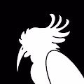BIRDIX