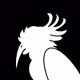 BIRDIX
