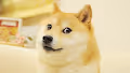 Bitcoin NFT Ethereum NFT Blockchain NFT META NFT DAO NFT Coin NFT DOGE NFT Token NFT Ape NFT