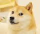 Bitcoin NFT Ethereum NFT Blockchain NFT META NFT DAO NFT Coin NFT DOGE NFT Token NFT Ape NFT