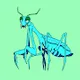 Bored Praying Mantis
