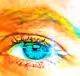Windows of the soul