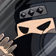 pitaninja