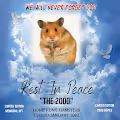 "The 2000" - Hamsters In Memoria