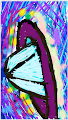 intergalactic shockwave