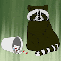Cute Racoons