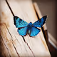 Butterflies of My World