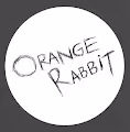Orange Rabbit Against The Noise World