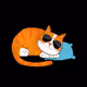 CatCom