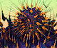 ZEN SPIKES
