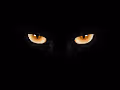 Blackat