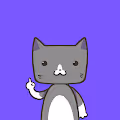Cat_pon N.2