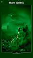 Emerald Husky Royals
