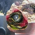 CryptoGemShow