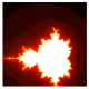 Fractalypse