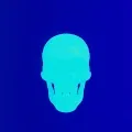 Skull Collect
