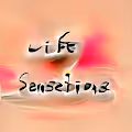 Life Sensations