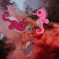 ocean oddities