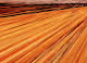 Perspecive Line Photography